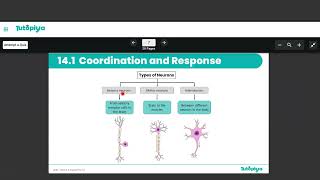 Genetic modification.