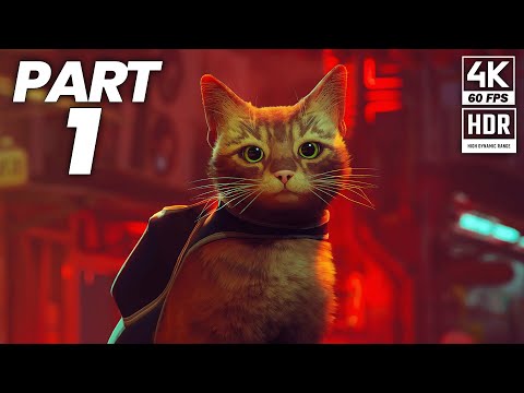 Stray Gameplay Walkthrough Part 1 (PS5) 4K 60FPS HDR - (Full Game)