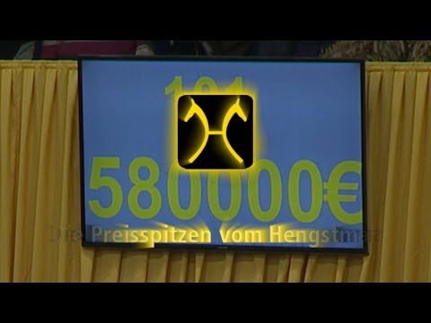 Hannoveraner Hengstkörung 2013 - Preisspitzen/Top priced stallions