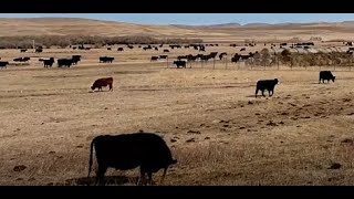 Give her a break! It'll help forever.