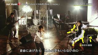 Aqua Timez × HARUNA ♪ALONES