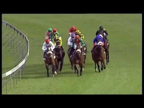 2016.07.31 Umkhomazi Stakes (RSA) - Hack Green