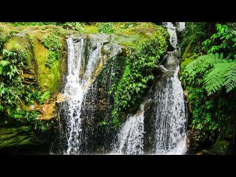 Serene Rain and Mountains