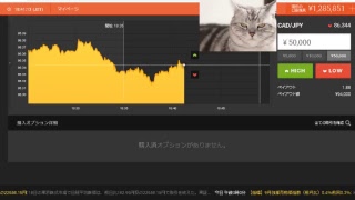 【FX】2万円負けたのでデモで練習して取り返す【BO】