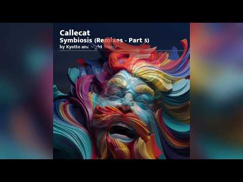 Callecat & Hobin Rude - Infinite Enclosure (Kyotto Remix)
