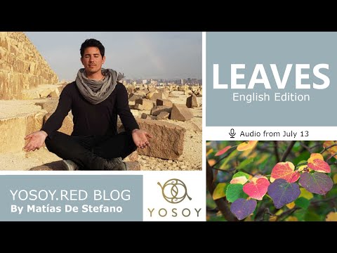 Day 344 - LEAVES - Matías De Stefano - YOSOY.RED BLOG: Heart - Emotional - Cancer, Read by Joan 7/13