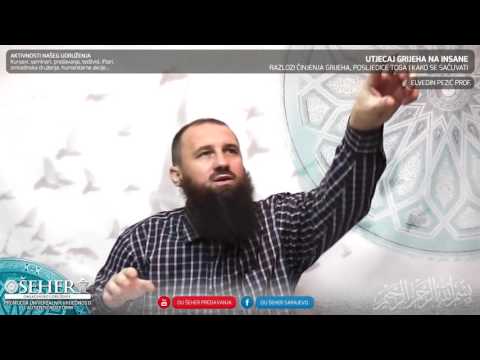 Utjecaj grijeha na insane - mr. Elvedin Pezić, prof.