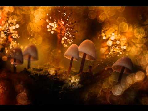 2012 Feat Dj Zaghini - Maia Creation