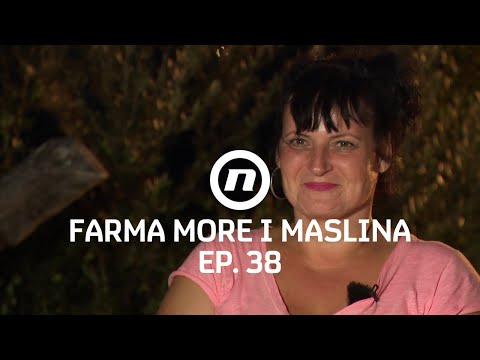 Kako je prošla pljačka? - Epizoda 38 | Farma More i Maslina