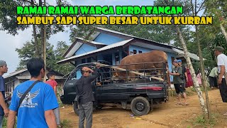 Download lagu Warga Berbondong Bondong Menyaksikan Untuk Pertamakalinya Ada Kurban Sapi Sebesar Ini mp3