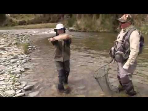 Marsha comes through on a beautiful brown in Southland New Zealand...