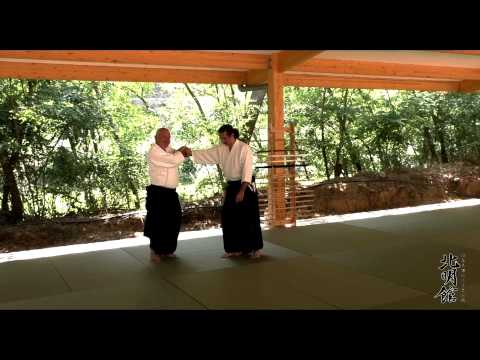 27.07.2014 morning, seminar of Stephane Benedetti, Mutokukai Hombu Dojo, Espana