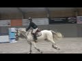 Jument d'exception en saut d'obstacles + excellent élev