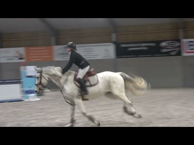 Jument d'exception en saut d'obstacles + excellent &eacute;lev