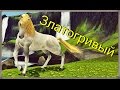 Симс 3 - Дикие лошади (ЗЛАТОГРИВЫЙ) 