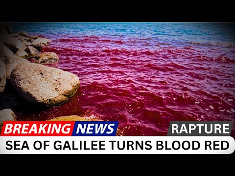 The Shocking Reason the Sea of Galilee Turned Red