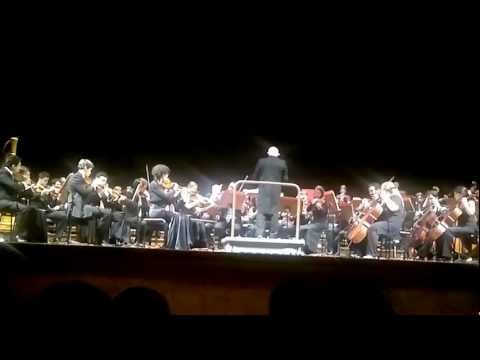 Concerto di Capodanno 2013 al Verdi - Orchestra Archè diretta da Wyn Davies 