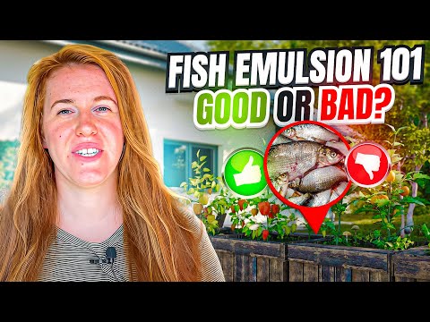 YouTube video about: Does alaska fish fertilizer go bad?