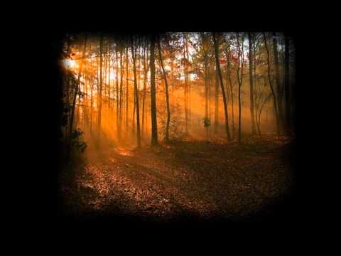 The Departed Woods - Buried in Time (Original)