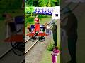 Two Multi Colour Dog Danse With Sona Aunty To Stop The Arriving Train Trending Shortsfeed