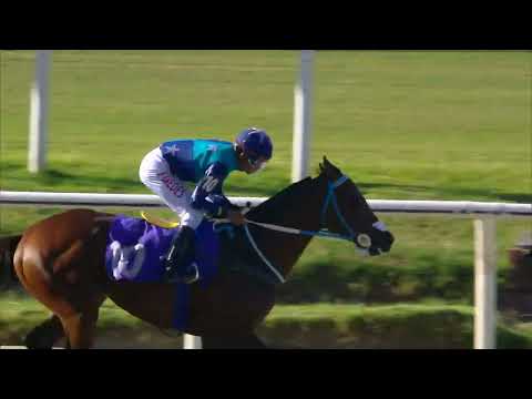 230226 c07 NAPOLEON BONAPARTE