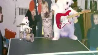 Lightsabre CS Blues by Mclusky