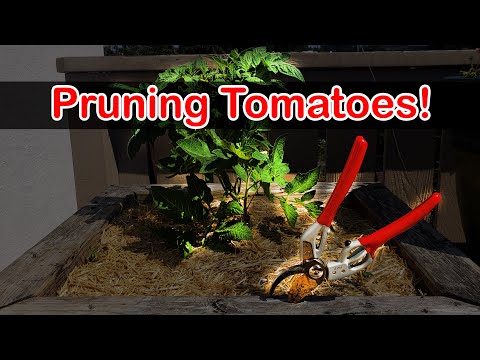 Garden Quickies Volume 1 Episodes 1 to 10