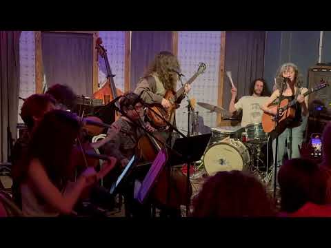 The Mops - Wired (Live at Threes Brewing)