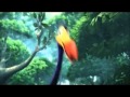 Disneycember CGI 10 Up Censored