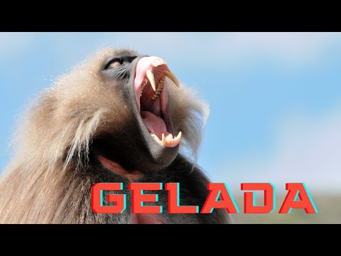 IUCN分類における絶滅の危険性を示す図。