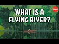 The largest river on Earth is actually in the sky - Iseult Gillespie