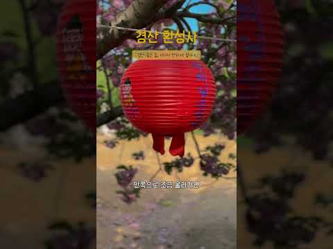 산사에 머문 봄, 환성사의 겹벚꽃 아래에서(SNS홍보단)