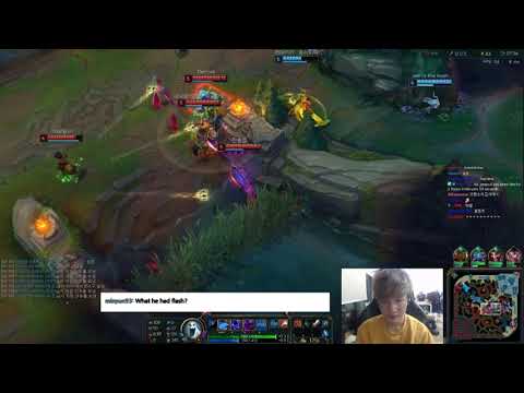 KZ Peanut Nocturne Jungle 8.6