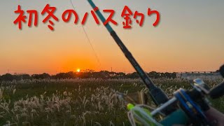 【初冬のバス釣り】だいぶ寒くなりましたがまだまだ釣れます！#fishing #bassfishing #abugarcia #shanghai  #バス釣り #スピナーベイト #バズベイト #上海