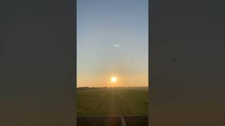 Download lagu sore sore enk nya ngopi sambil liat sawah #shorts #youtube #sawah #sunset mp3