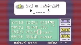 ポケモンのタマゴに名前を付けてみた