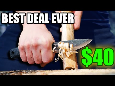 The New BEST Budget Knife is Here!! | Condor Terrasaur