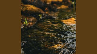 Equinox (with Babbling Brook)