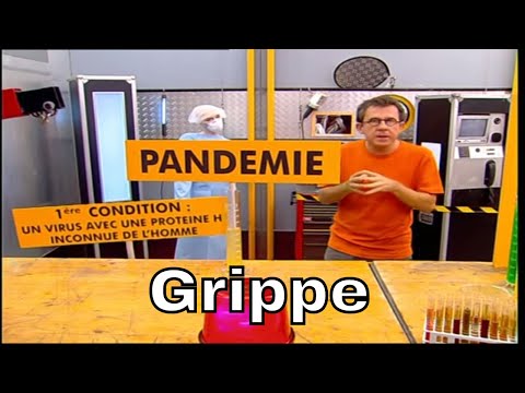 ウイルスはどのようにしてパンデミックを引き起こすのでしょうか？- ウィザードではありません (Comment un virus peut-il créer une pandémie ? - C'est Pas Sorcier)