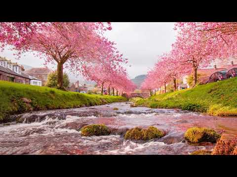 Andre Gagnon  || The Very Best Of Andre Gagnon Album 2001