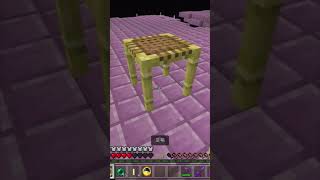 飛んでみるが.エンドシティー25【マインクラフト】　#shorts