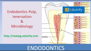 Endodontics -Pulp, Innervation and Microbiology -MDS Lecture