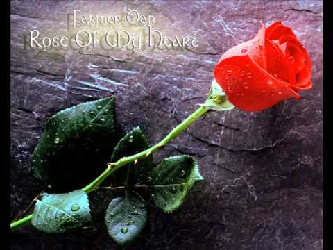 Farmer Dan: Rose Of My Heart