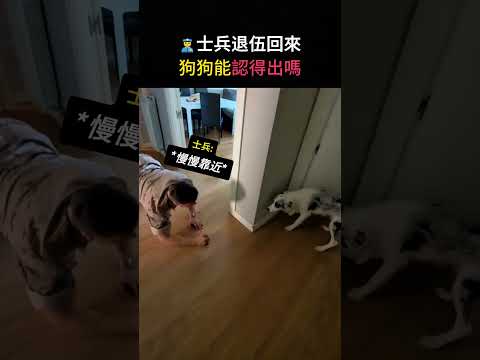 我是你的主人🙋‍♂️但你認到我嗎😭
