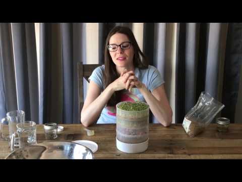 Victorio Seed Sprouter How To for Beginners