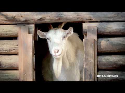 社会科学部CM入試篇