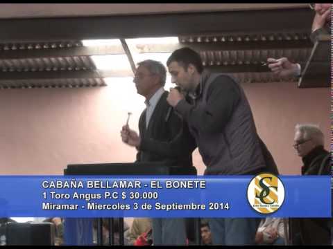 Cabaña Bellamar - El Bonete - Ventas Toros - Miramar - 03/09/2014