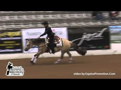 Dunit The Gunner Way ridden by Kelle Smith - 2014 NRBC(NP Classic 1st Go)