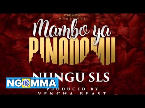 Nungu sLs - Mambo ya Binadamu ( Official Audio )