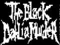 Blood In The Ink 8 Bit - The Black Dahlia Murder ...